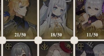 我的罗兰21片啦！