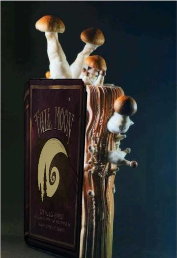 【黑森林快报】滴答工作室最近在忙啥？