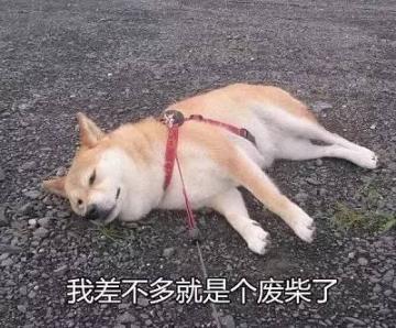 王牌特训7月11日停机更新公告