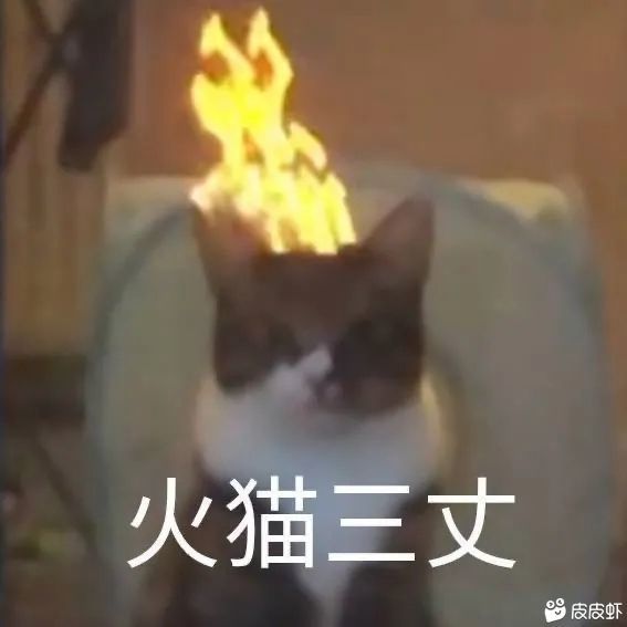 游戏还能玩吗？怎么一点苗头都没有啊！截图