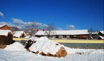 【东北话篇】兄弟！俺来给你看个大宝贝！