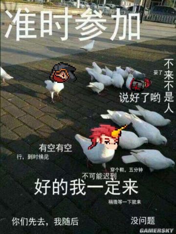 V2.6.5 焕然一新，新版本极限抢跑评测