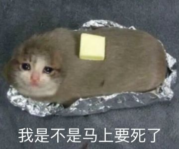 【瓜盟攻略】会战没你想的那么难，听好指令小兵也可以发挥大能量！