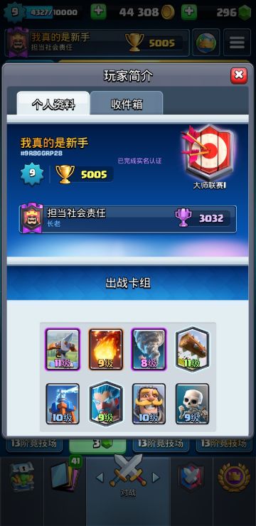 神弩教在此！冰法电塔弩高分段攻略