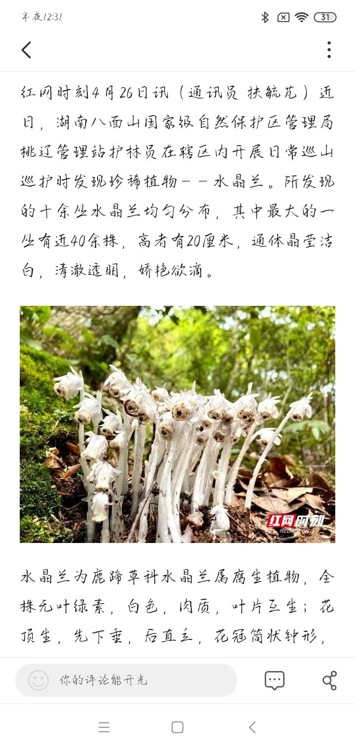 这就是水晶兰吗截图
