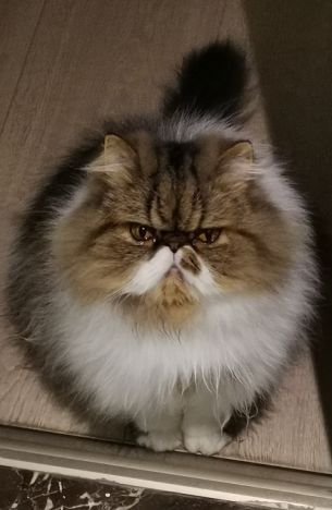 《仙山小农》预约破10万啦~ 关于抽奖方式（已结束）