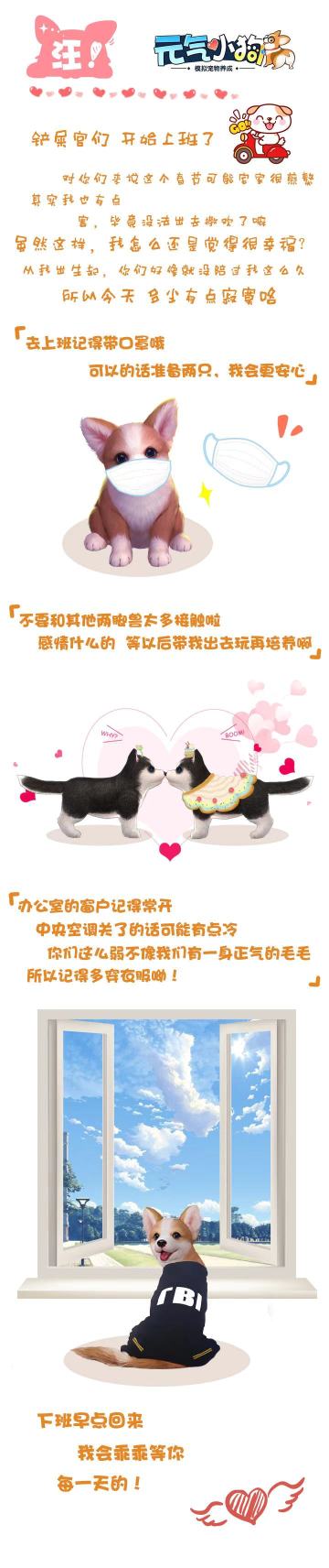 汪，开始上班的铲屎官们，注意防护别让我们担心嗷