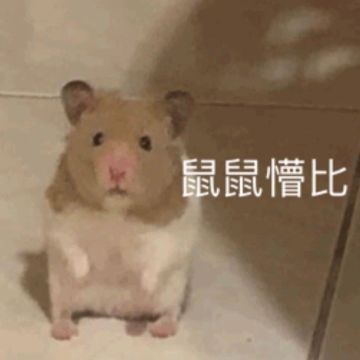 次元(X)加强发明家(√)