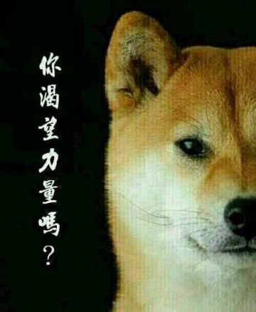 【卡片特辑No.2】酒馆里的套路你知多少？