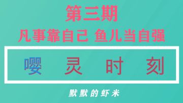 【嘤灵时刻】第三期 凡事靠自己 鱼儿当自强