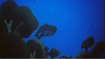 《黑猫警长联盟》游戏特色介绍 这是一款什么样的游戏