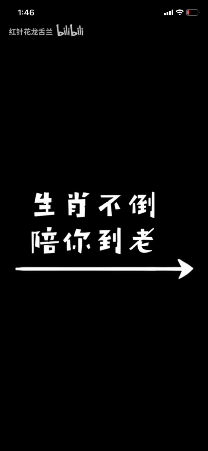 【原创歌曲】生肖不倒，陪你到老截图
