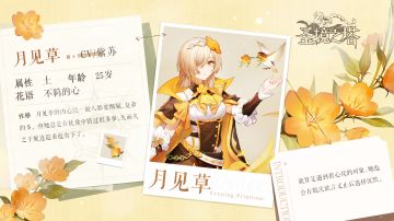 ✿花灵档案✿心思细腻月见草，瞻前顾后失良机