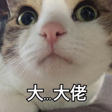 你以为这些事情喵星人不会做？呵呵，你太天真了！