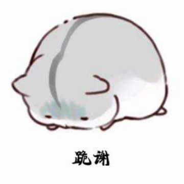 【云中歌】元旦属性值晒图大赛