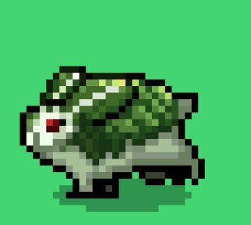 最后一位御三家来了！