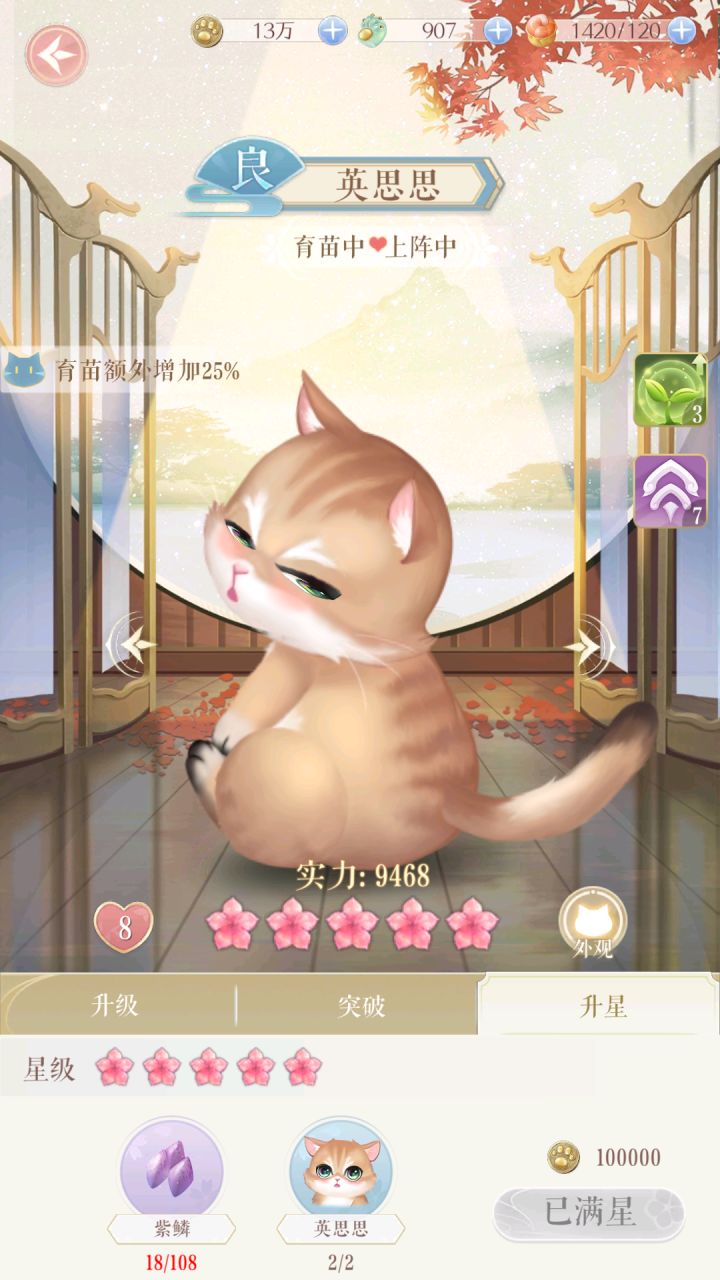 猫咪花花升满了还有多咋办截图