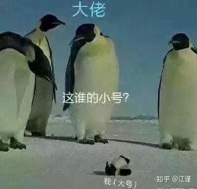 听说二服叫鸭之国截图
