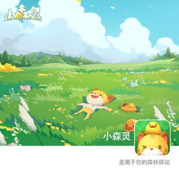 小森灵 | 不摸鱼的朋友圈日常