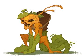 爆料：森林系小怪