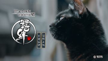 （已开奖）【活动】《另一个伊甸》猫咪宣传片温情上线~和你一起缔结超越时空的「羁绊」！
