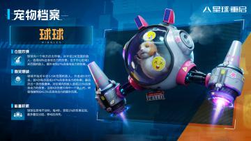 【宠物档案】萌力爆发！可爱的仓鼠炸弹——球球