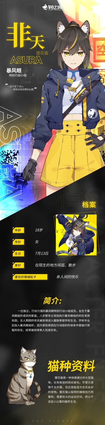 【情报】「非天」角色档案公布