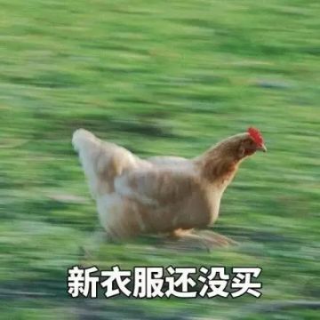 女明星出道怎么能没有“战袍”？秋天的第一条裙子就在今天选吧！