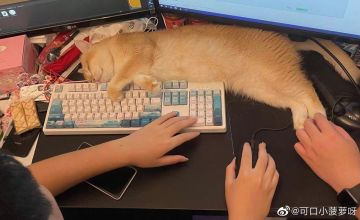 【维护公告】8月13日上午10点维护20分钟