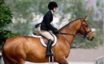 《飞马流星》骑马穿什么衣服呢