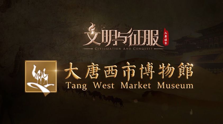 video-2293992