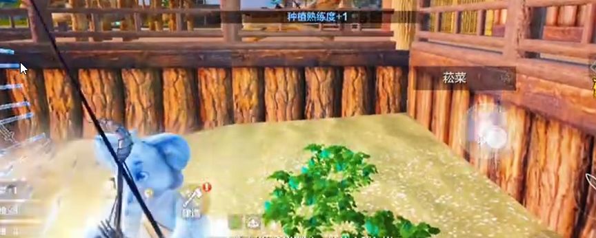 妄想山海菘菜在哪里采截图