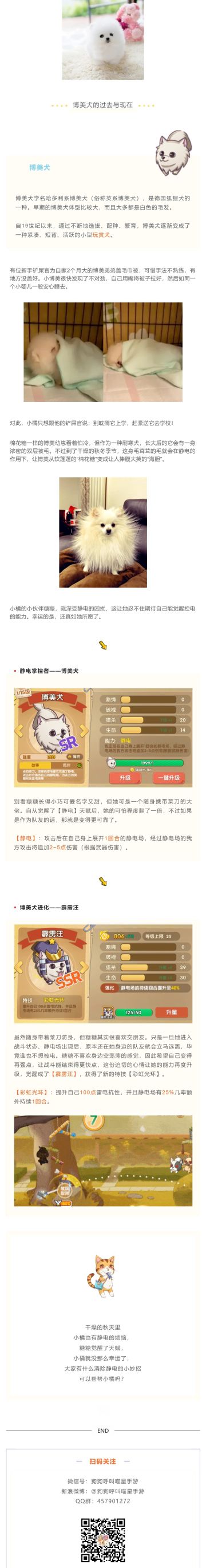 当一只博美变成了“海胆”......