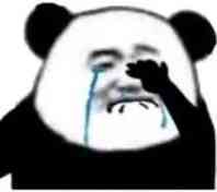 柴碧萝的打榜活动【攻略+萌新福利】