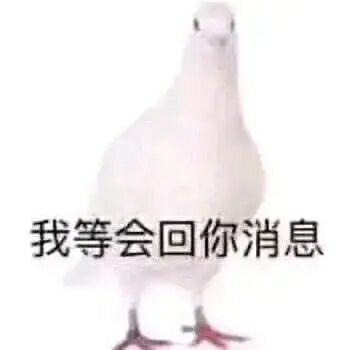 这回测试删档吗?删档的话有什么补偿吗?截图