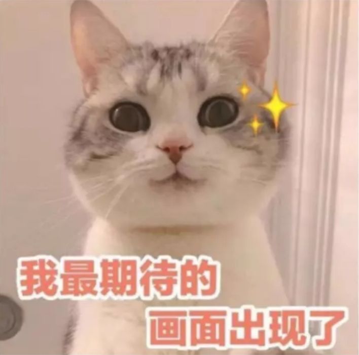 为什么奥拉星,奥奇传说,赛尔号都有了,我最爱的洛克王国不出呢,求求了,快出吧截图