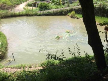 ios先下架一段时间，修好再开放下载