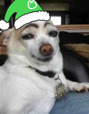 【重要爆料】这是真的吗？本人以飘！