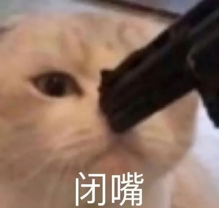 今日更新好评截图