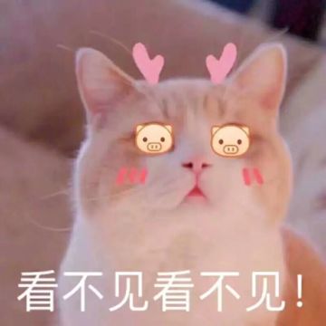 《跳跳大咖》超强阵容（二）