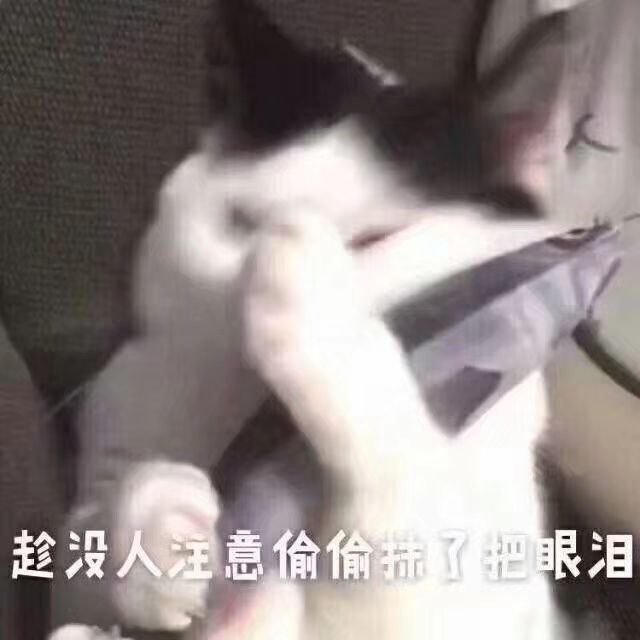 找队友截图