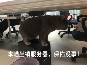 【重要消息】《提灯与地下城》炸服保险说明书！