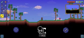 【LC攻略组】泰拉瑞亚攻略之第二十一篇——丛林蜂王