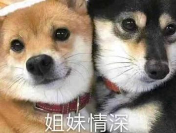 #狼人夜话#你好友列表里亲密值最高的人是？