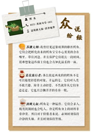 边境档案|鳄鱼：冷血杀手对人类的兴趣究竟有多大？