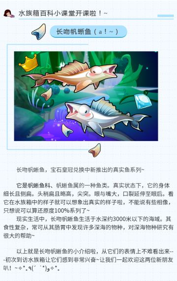 开水小课堂---长吻帆蜥来啦~