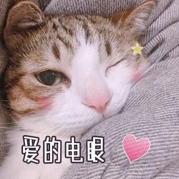 【官方】10月外挂举报集中帖