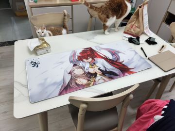 奖品鼠标垫到了