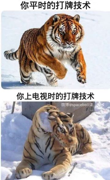 可能不那么草的生草图一张