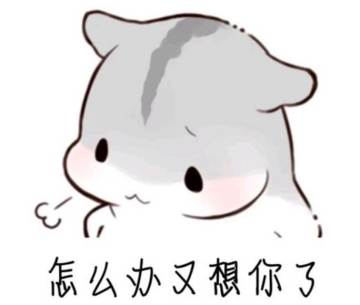 《真・三国无双 霸》的正确玩法——推进主线，升官发财，建设属地，我全都要！